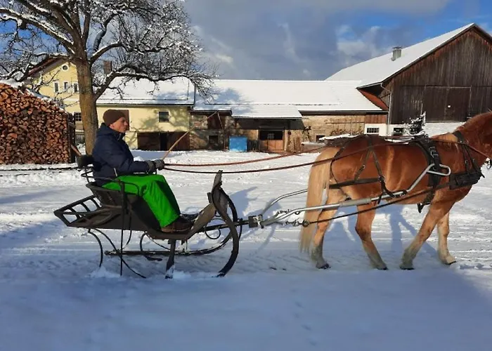Gschwendnerhof Reitberger-brandl *