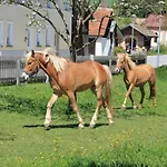 Gschwendnerhof Reitberger-brandl Vakantieboerderij *