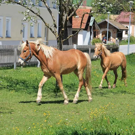 Gschwendnerhof Reitberger-brandl Farm stay *