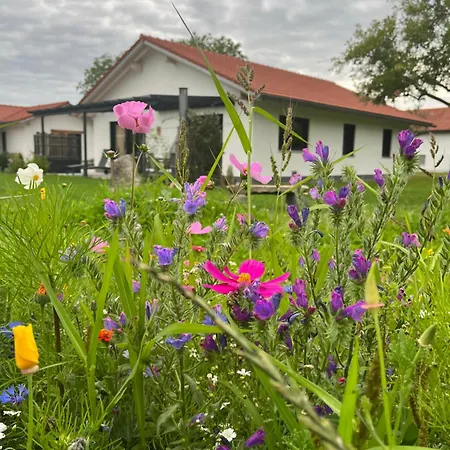 Farm stay Gschwendnerhof Reitberger-brandl *