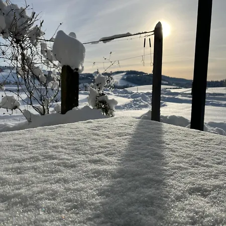 Gschwendnerhof Reitberger-brandl Farm stay *