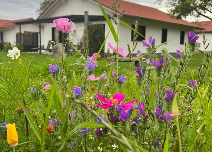 Vakantieboerderij Gschwendnerhof Reitberger-brandl *